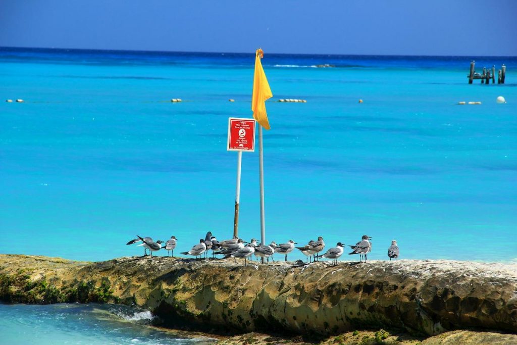 color de las banderas en la playa